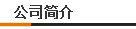 公司簡介